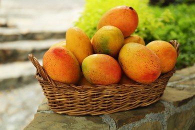 Delicious fresh ripe mangos in basket outdoors