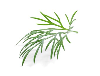 Photo of Sprig of fresh dill isolated on white