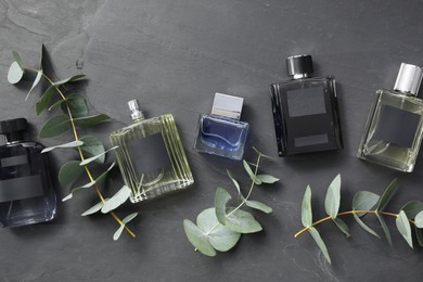 Luxury perfumes and eucalyptus branches on black table, flat lay. Floral fragrance