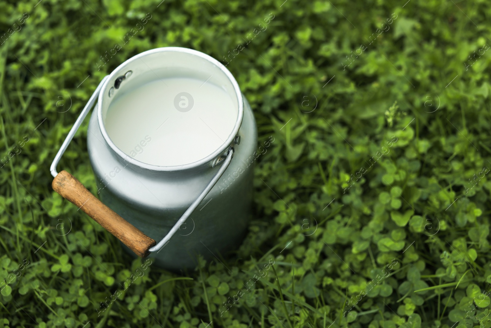 Photo of Can with fresh milk on green grass outdoors, space for text