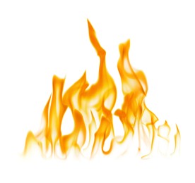 Beautiful bright fire flames on white background