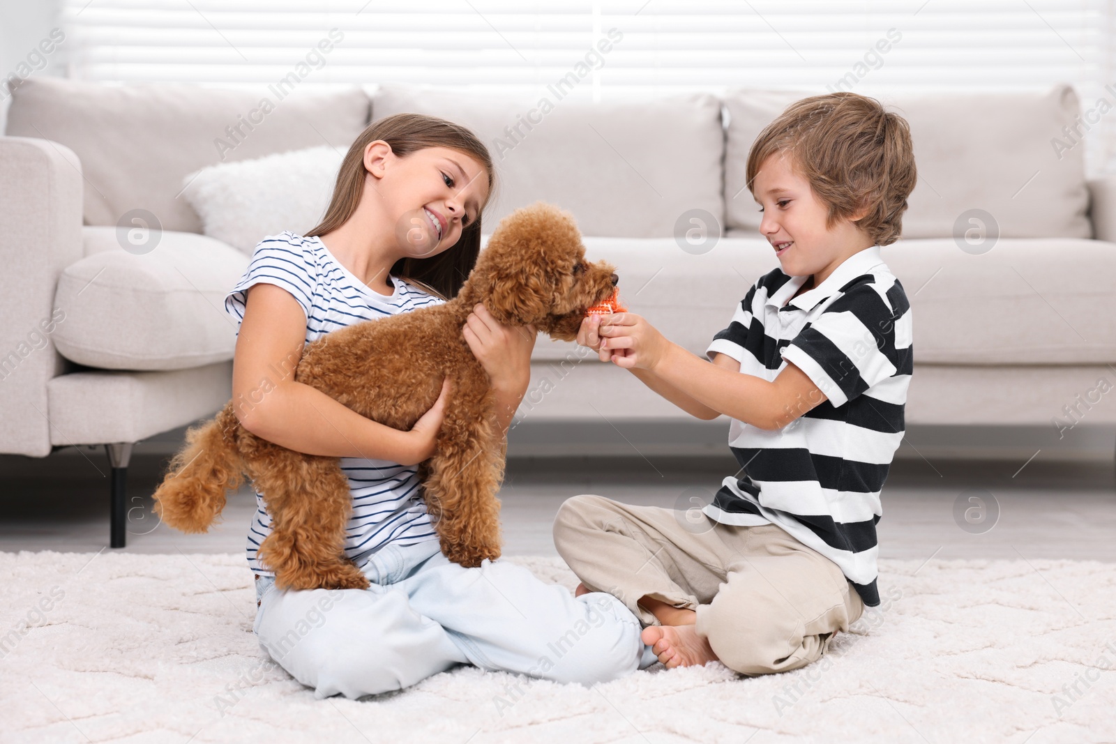 Photo of Little children playing with cute puppy on carpet at home. Lovely pet