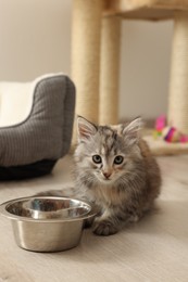 Cute fluffy kitten near feeding bowl at home