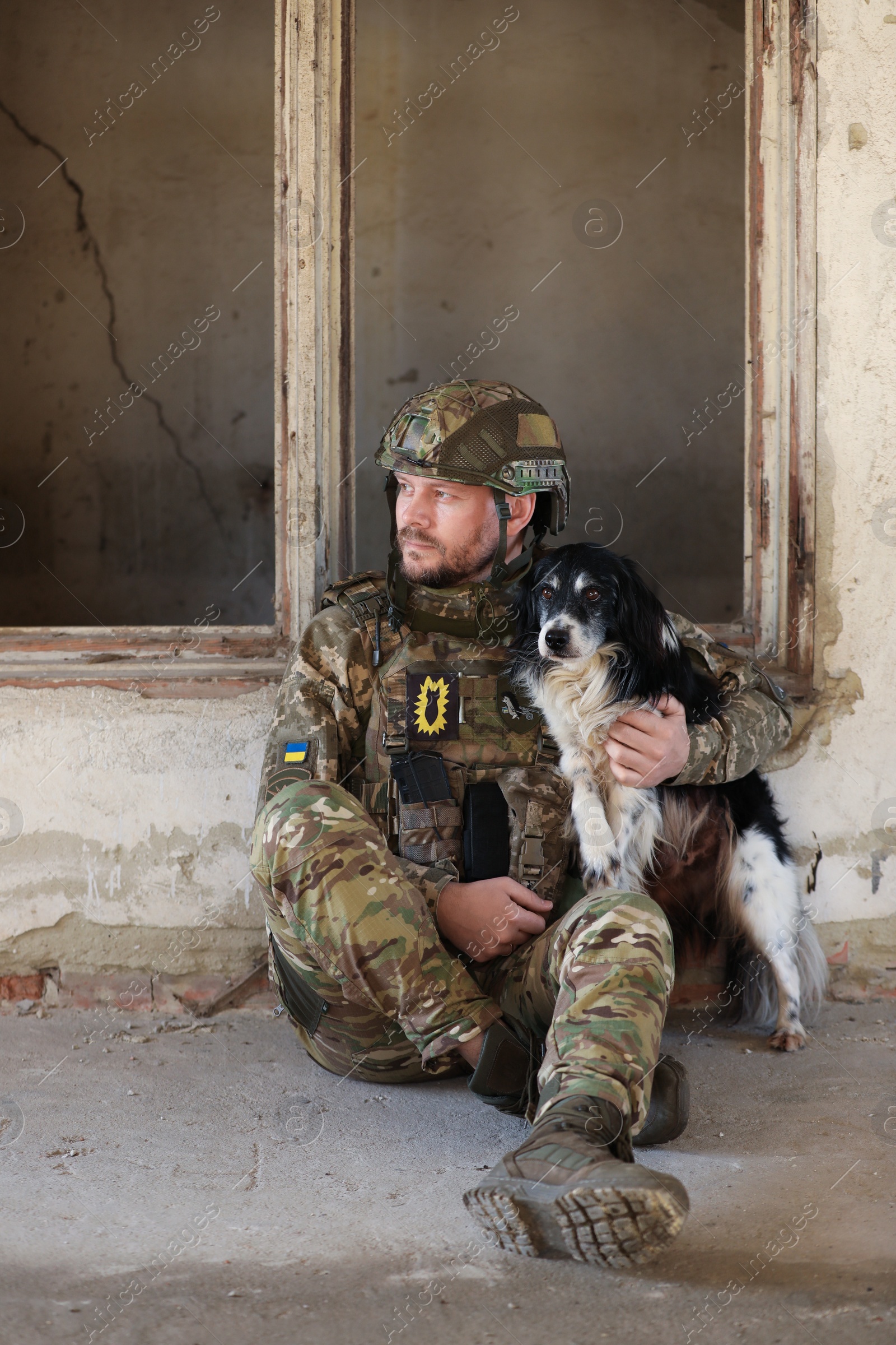 Photo of Ukrainian soldier sitting with stray dog in abandoned building