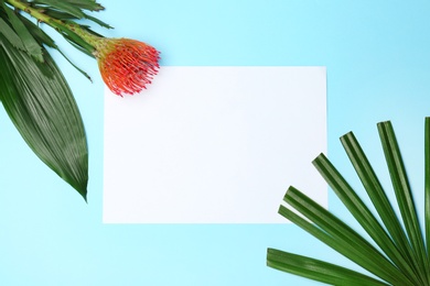 Creative flat lay composition with tropical leaves and protea flower on blue background