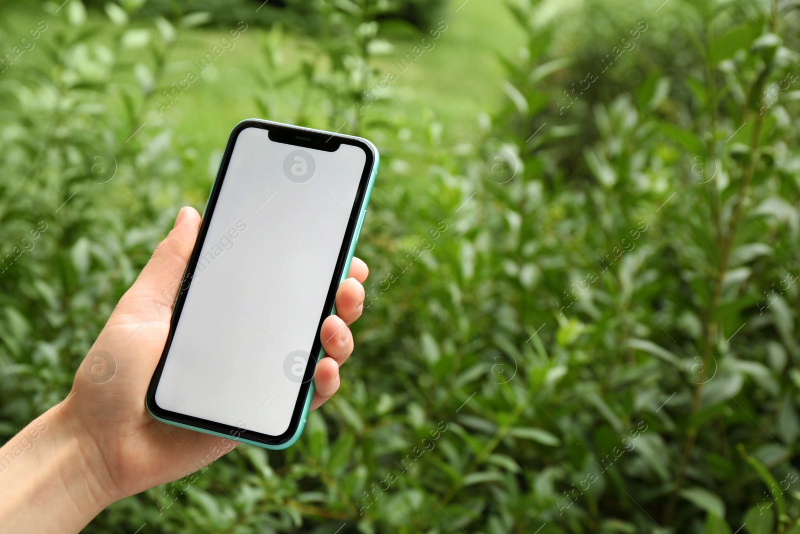 Photo of MYKOLAIV, UKRAINE - JULY 8, 2020: Woman holding Iphone 11 Pro Max with blank screen outdoors, closeup. Space for text