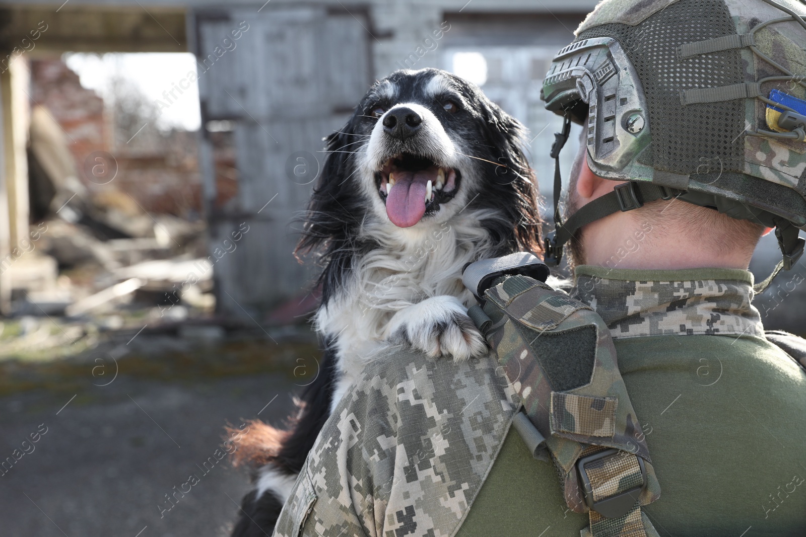 Photo of Ukrainian soldier rescuing stray dog outdoors, back view. Space for text