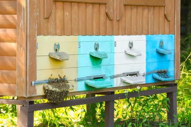 Photo of Beautiful wooden beehive and bees on apiary outdoors