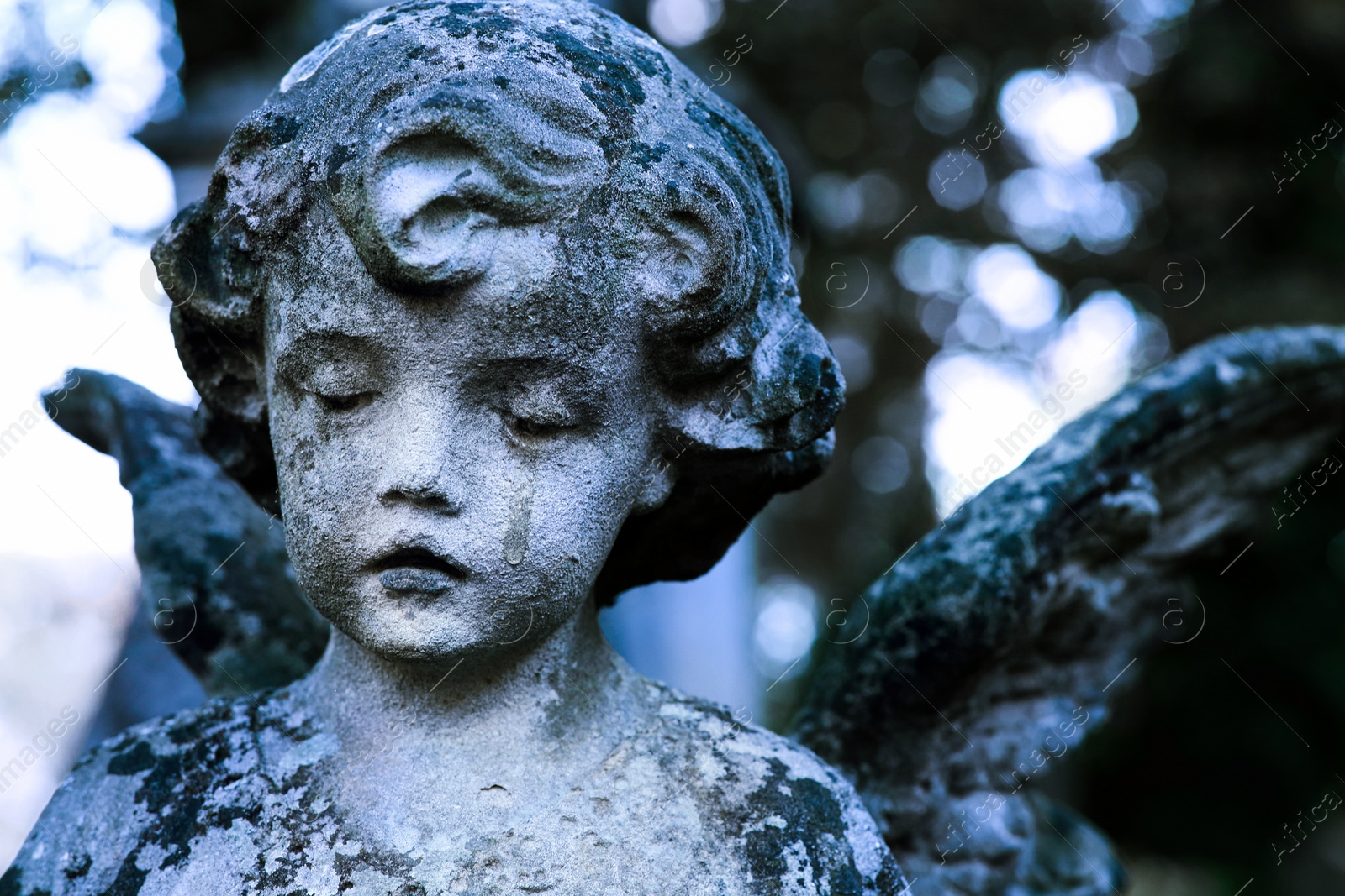 Image of Beautiful statue of angel at cemetery, closeup