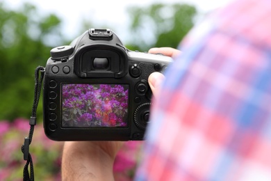 Photo of Professional photographer holding camera with image of blossoming bush on screen, closeup