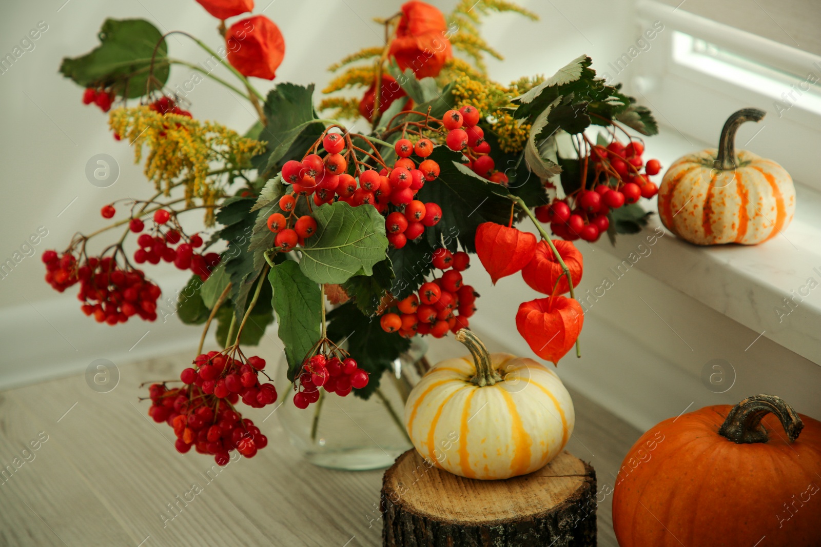 Photo of Beautiful autumn composition with different pumpkins indoors