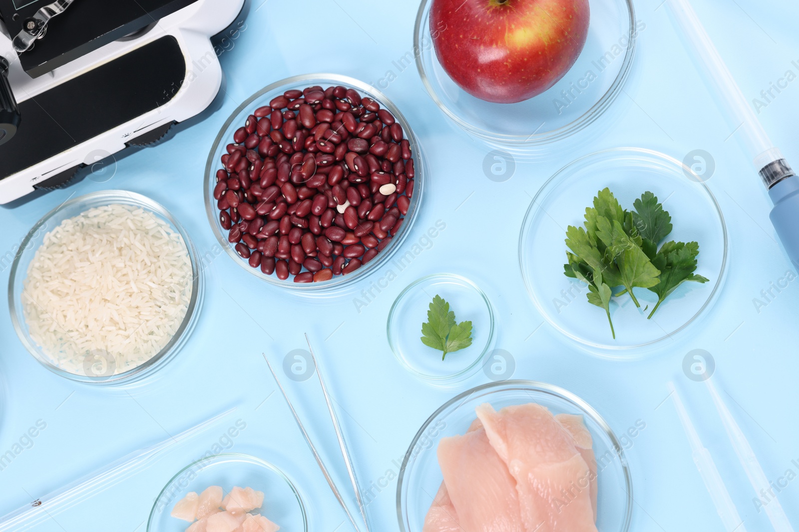 Photo of Food Quality Control. Microscope, petri dishes with different products and other laboratory equipment on light blue background, flat lay