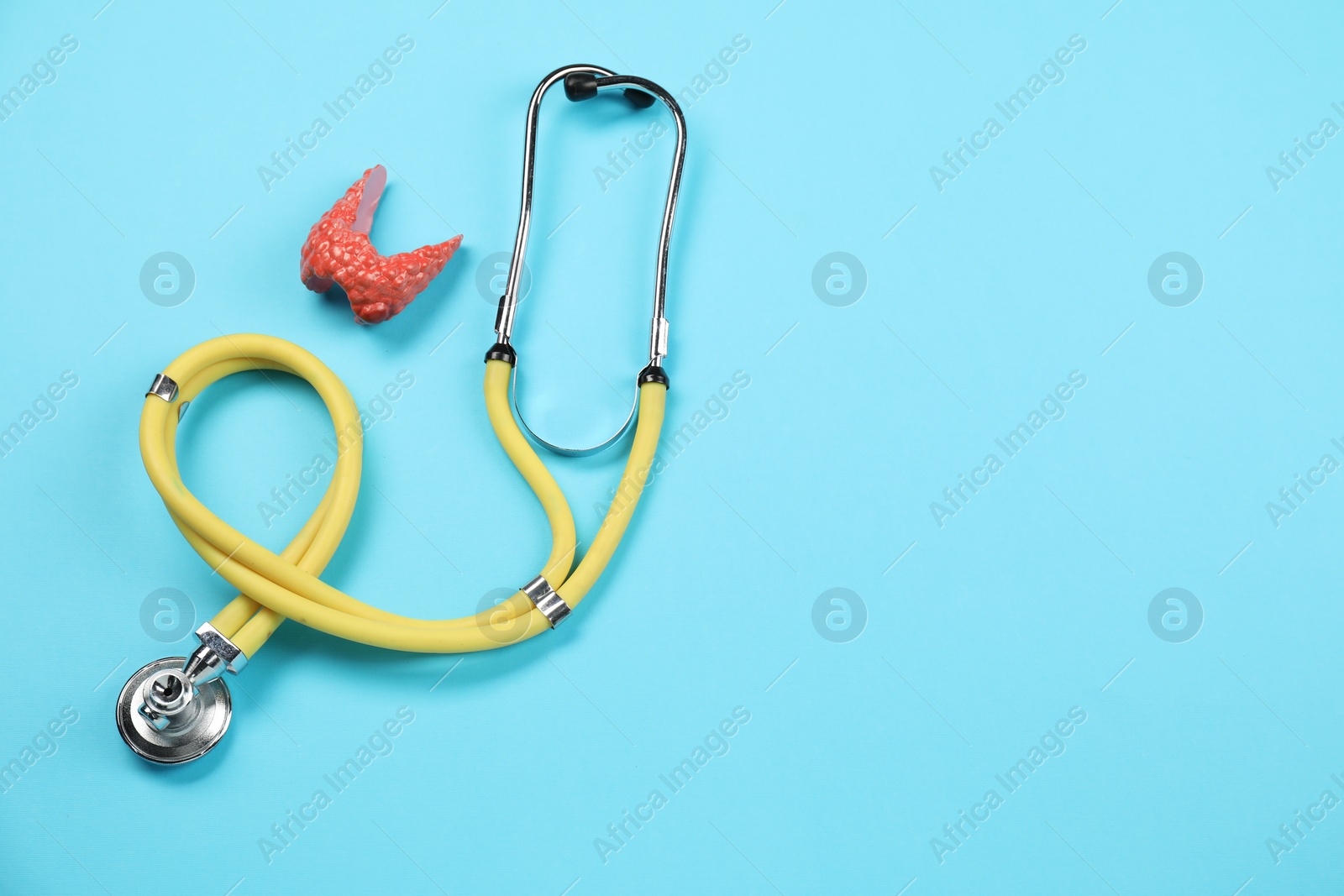 Photo of Endocrinology. Stethoscope and model of thyroid gland on light blue background, top view. Space for text