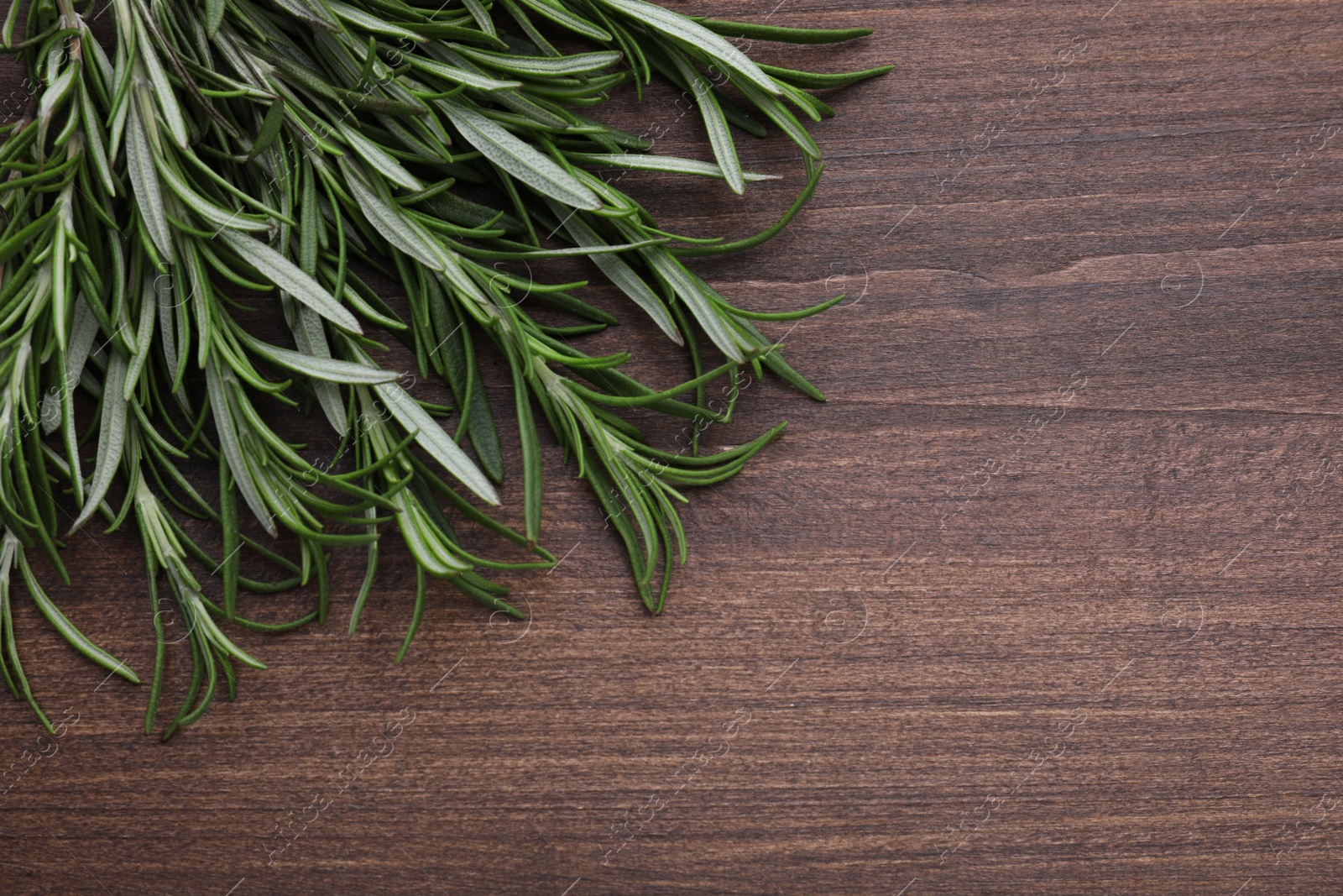 Photo of Sprigs of fresh rosemary on wooden table, top view. Space for text