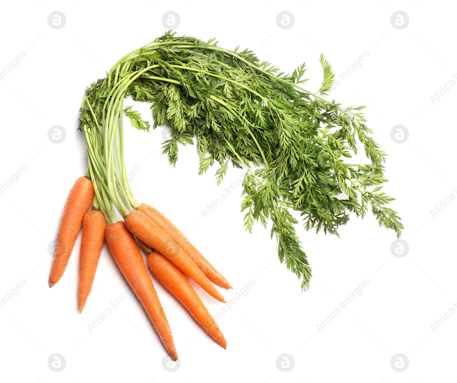 Photo of Fresh ripe carrots on white background, top view