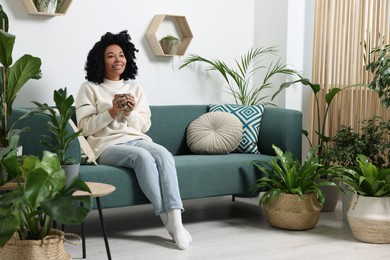 Photo of Relaxing atmosphere. Happy woman with cup of hot drink on sofa near beautiful houseplants in room