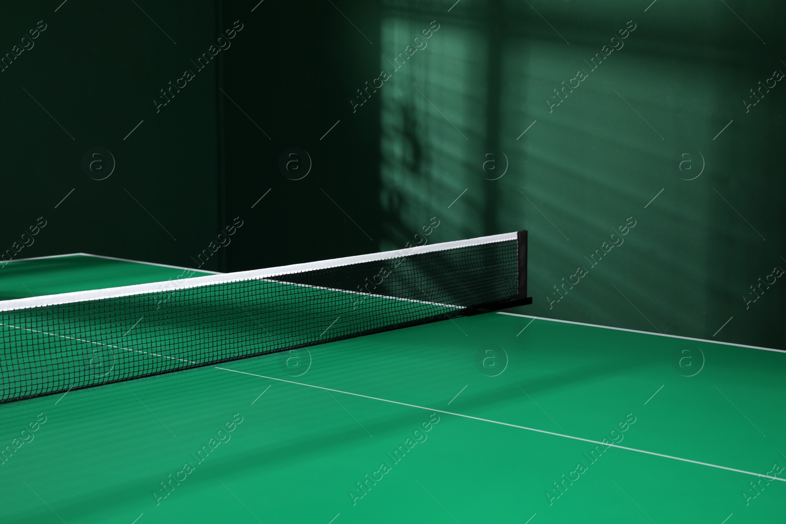 Photo of Green ping pong table with net in room, closeup