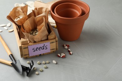 Different vegetable seeds and gardening tools on grey table. Space for text