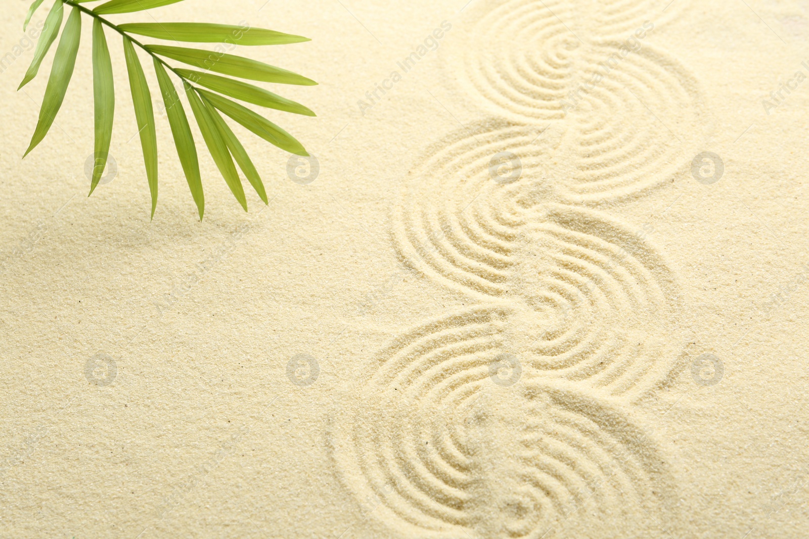 Photo of Zen rock garden. Wave pattern and green leaf on beige sand