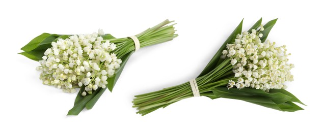 Image of Beautiful lily of the valley flowers with green leaves. Bouquets on white background