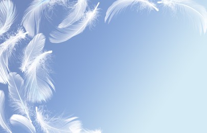 Image of Fluffy bird feathers in air on blue background, space for text