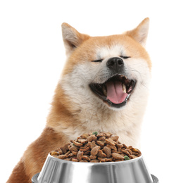 Cute Akita Inu dog and feeding bowl on white background