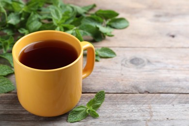 Cup with hot aromatic mint tea on wooden table, space for text