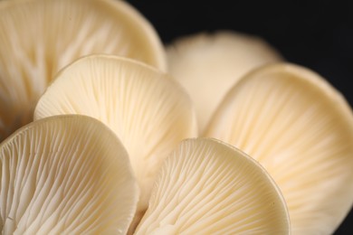 Photo of Fresh oyster mushrooms on black background, macro view