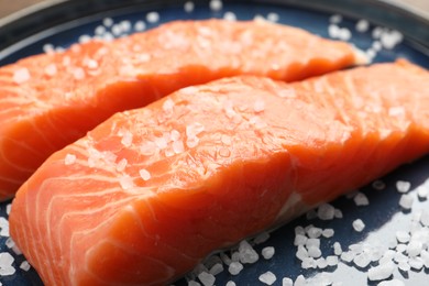 Fresh raw salmon with salt on plate, closeup