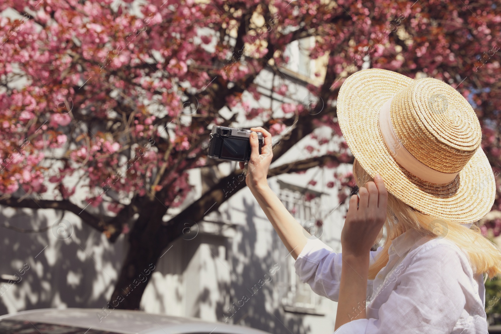 Photo of Female tourist taking photo of blossoming tree on city street