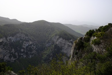 Photo of Picturesque view of green forest in mountains