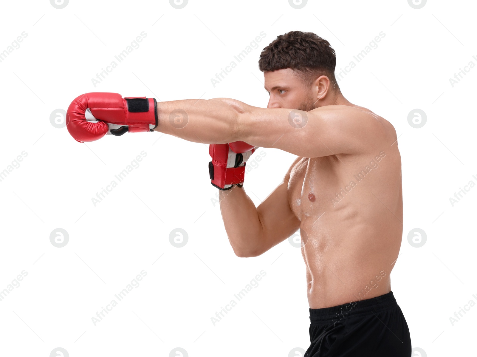 Photo of Man in boxing gloves fighting on white background