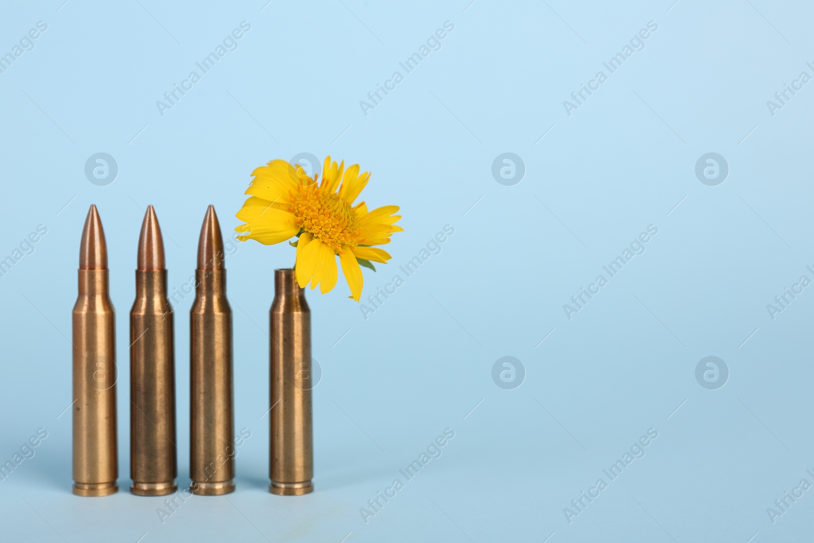 Photo of Bullets and beautiful yellow flower on light blue background, space for text