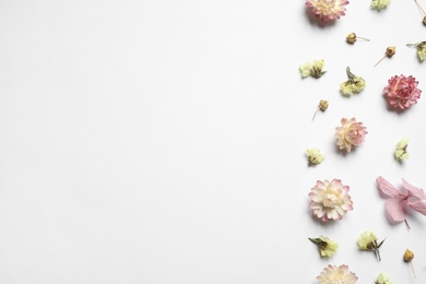 Photo of Beautiful fresh and dry flowers on white background, flat lay. Space for text