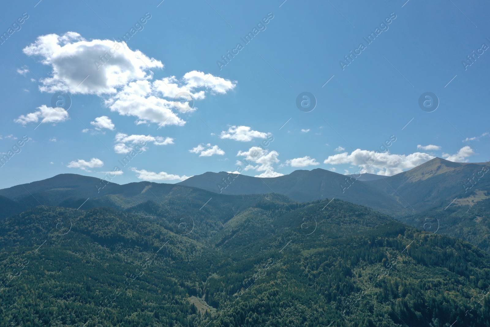 Photo of Beautiful mountain landscape with green trees under blue sky on sunny day. Drone photography