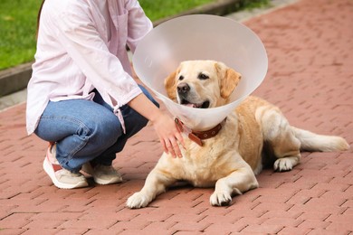 Woman with her adorable Labrador Retriever dog in Elizabethan collar outdoors, closeup