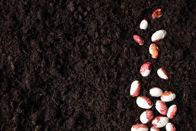 Photo of Many bean seeds on fertile soil, top view. Space for text