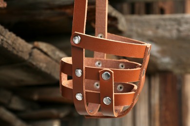 Brown dog muzzle hanging near firewood, closeup