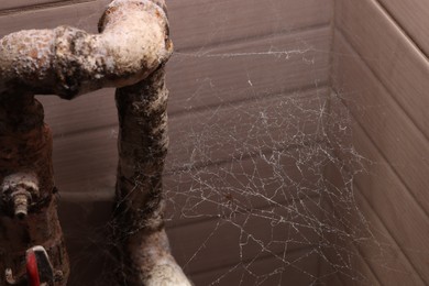 Photo of Cobweb near wall and rusty pipes of water supply indoors