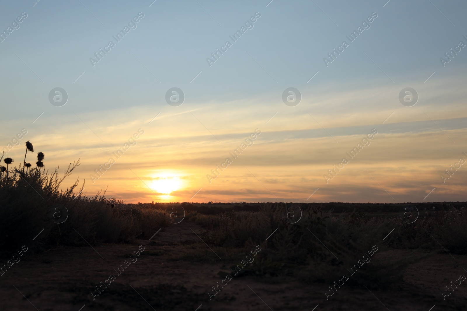 Photo of Picturesque view of beautiful countryside sunrise. Early morning landscape