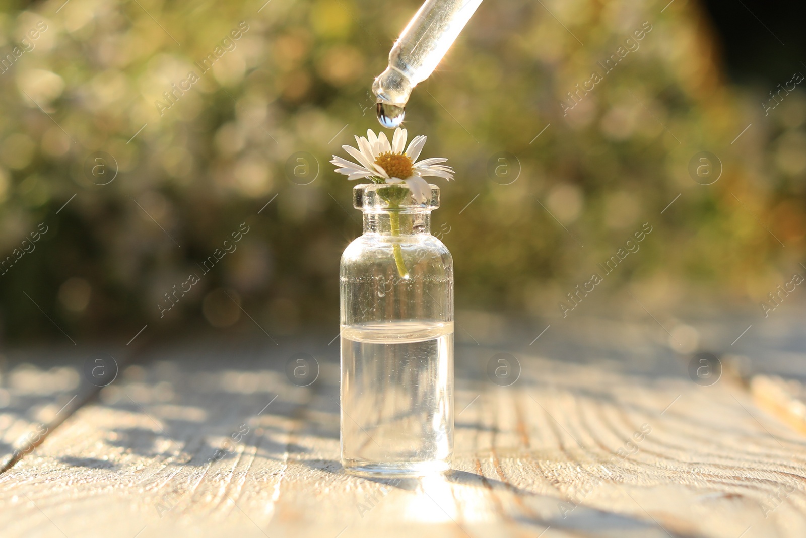 Photo of Dripping essential oil from pipette onto chamomile in bottle on white wooden table, closeup