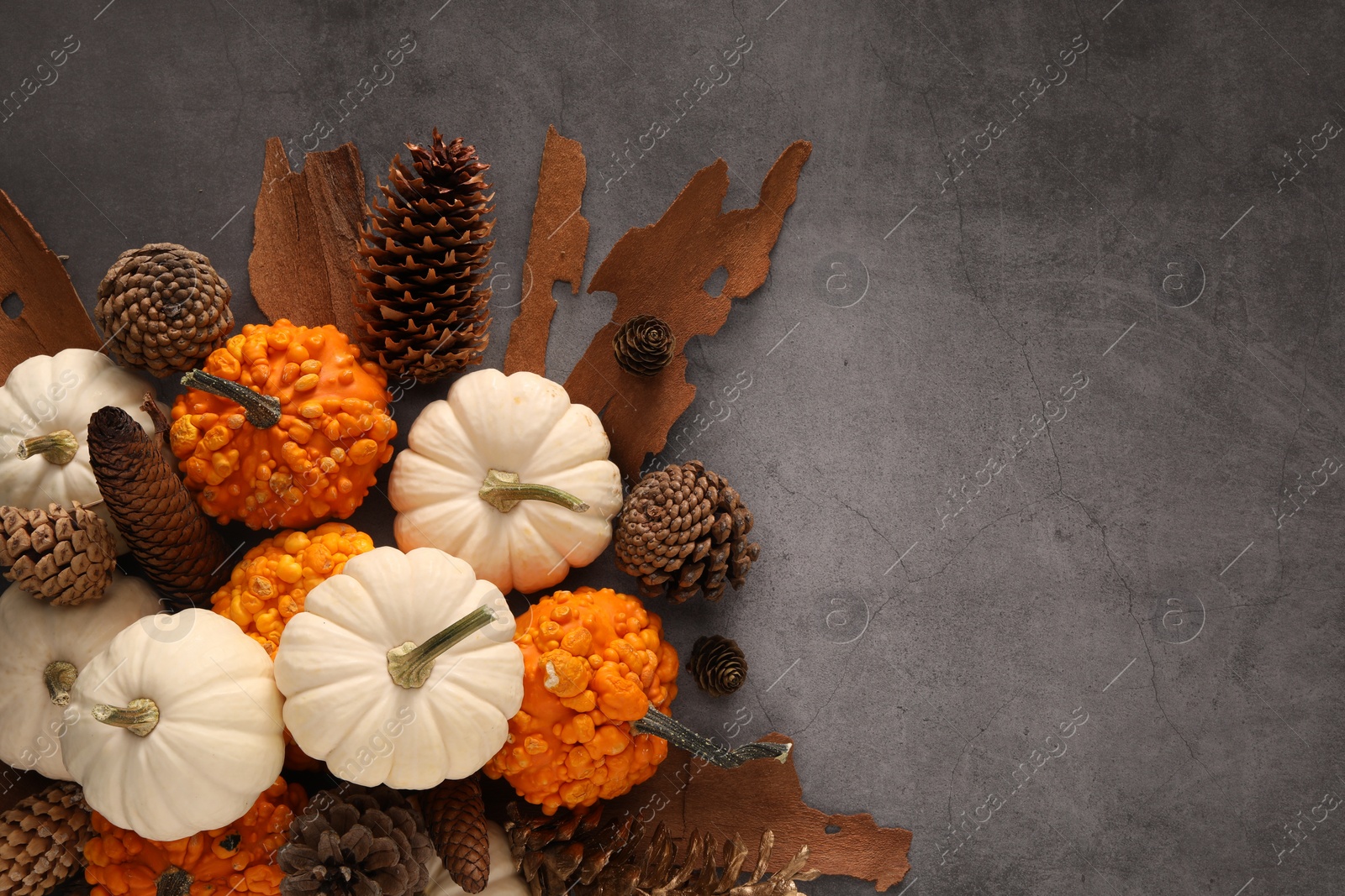 Photo of Flat lay composition with ripe pumpkins on grey table. Space for text