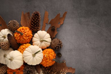 Flat lay composition with ripe pumpkins on grey table. Space for text