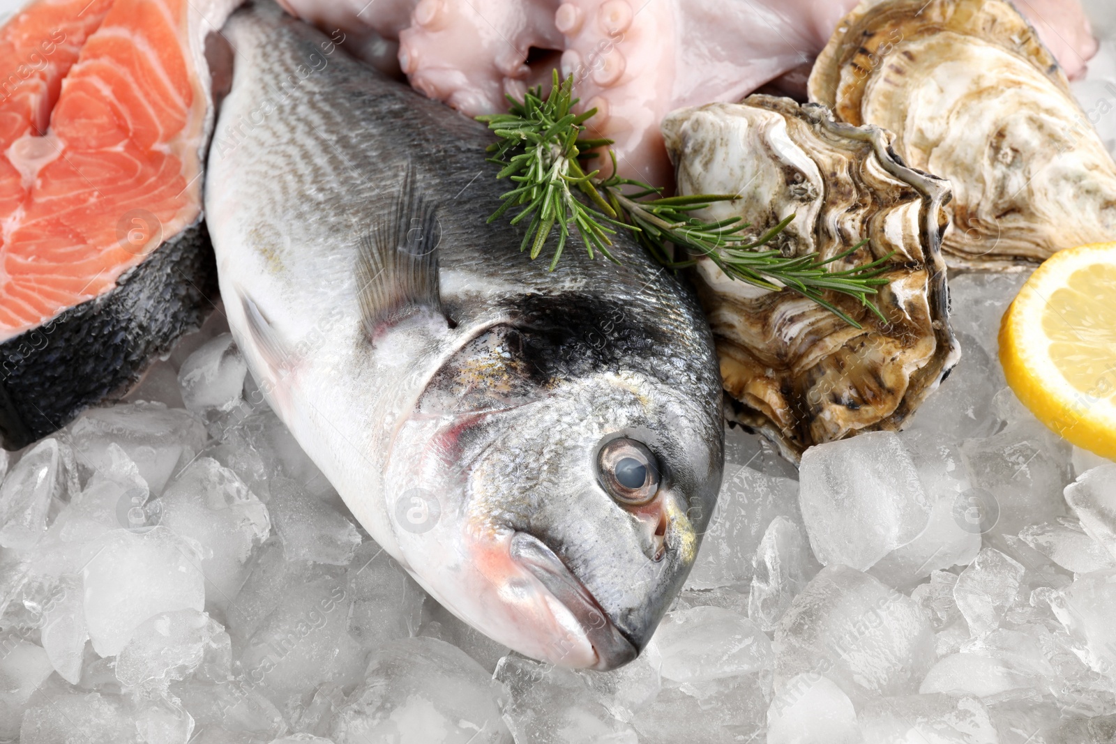 Photo of Fresh dorado fish, salmon, octopus and oysters on ice, closeup