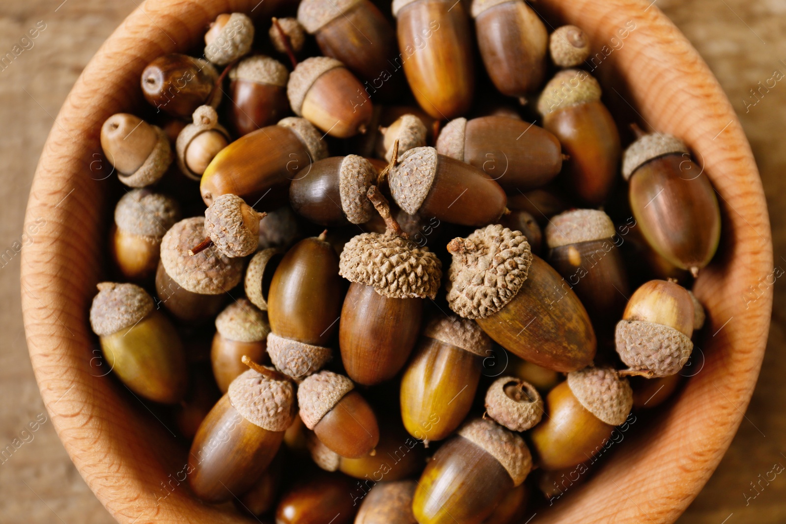 Photo of Bowl of acorns on wooden table, closeup