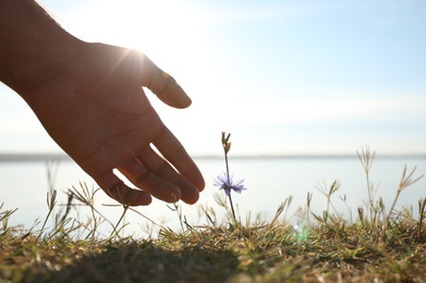 Photo of Man reaching hand to blooming flower outdoors, closeup. Nature healing power