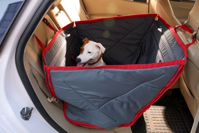 Cute Jack Russel Terrier dog in bag carrier inside car. Pet accessory