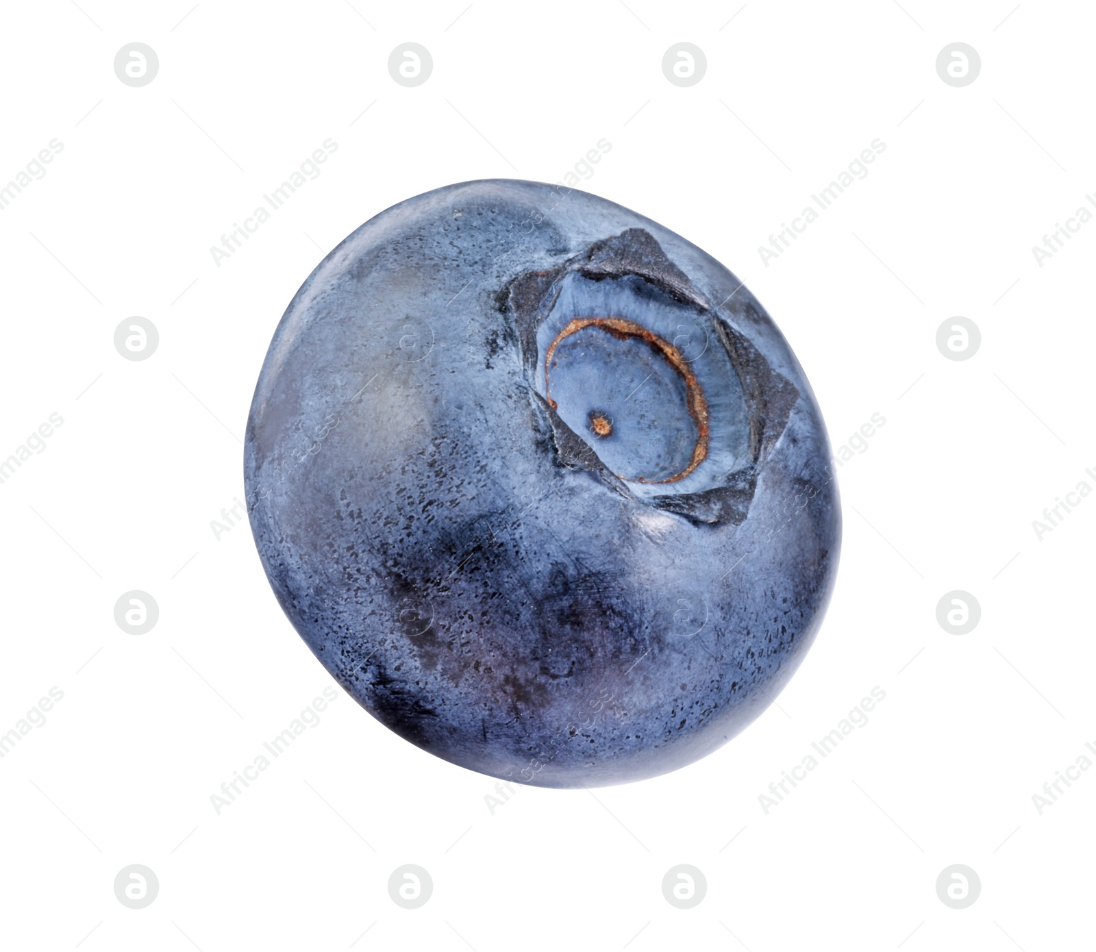 Photo of One fresh ripe blueberry isolated on white