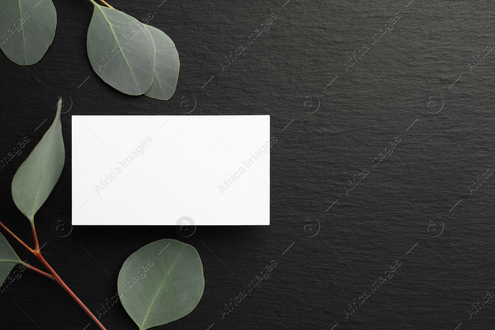 Photo of Blank business card and eucalyptus branches on black background, flat lay. Mockup for design