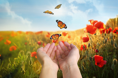 Image of Woman releasing butterflies in field on sunny day, closeup. Freedom concept
